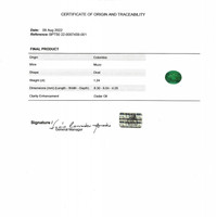 1.25 Ct. Emerald from Colombia - Muzo Pdf